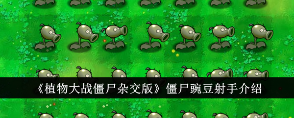 植物大战僵尸杂交版：豌豆射手僵尸的使用方法
