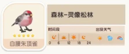 心动小镇白腰朱顶雀出现位置详解