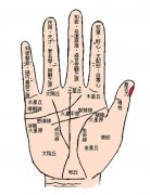 手相晚婚：其晚婚的手相特点