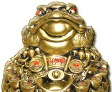 摆放开运金蟾的注意事项