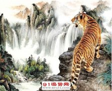 苏民峰 :2021年属虎人的全年运势指南