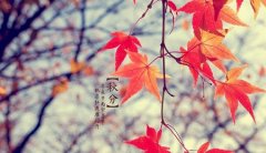 秋分和立秋哪个是秋天的开始