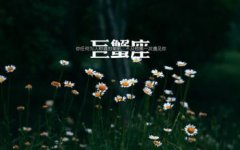 巨蟹男把你当老婆的体现