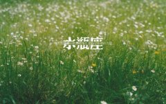 水瓶座的女人太可怕了