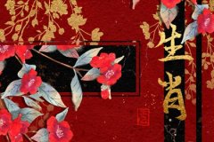今天冲什么生肖 2021年11月20日属相相冲表