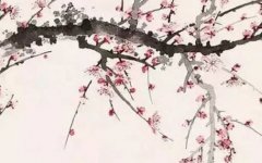 三两八钱女命一生运势 一生没有太多烦恼