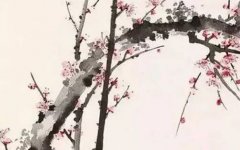 四两四钱女命详解一生 财运不济事业受阻