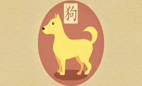 94狗和95猪八字合不 婚姻相配吗